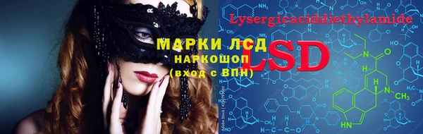 PSILOCYBIN Новозыбков