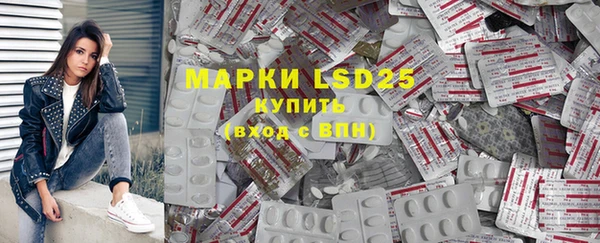 PSILOCYBIN Новозыбков