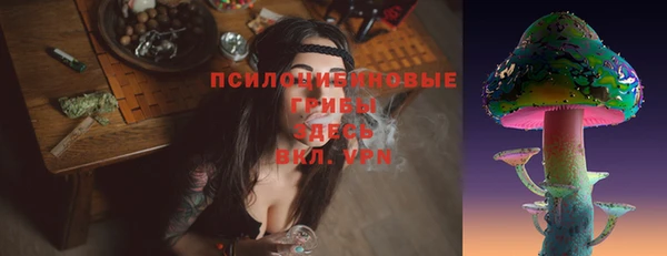 мескалин Новодвинск