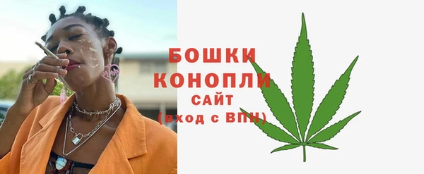 PSILOCYBIN Новозыбков