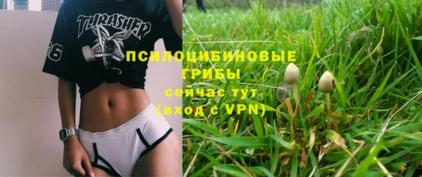 мескалин Новодвинск