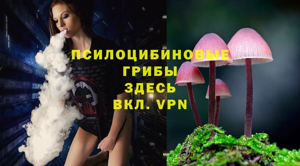 мескалин Новодвинск